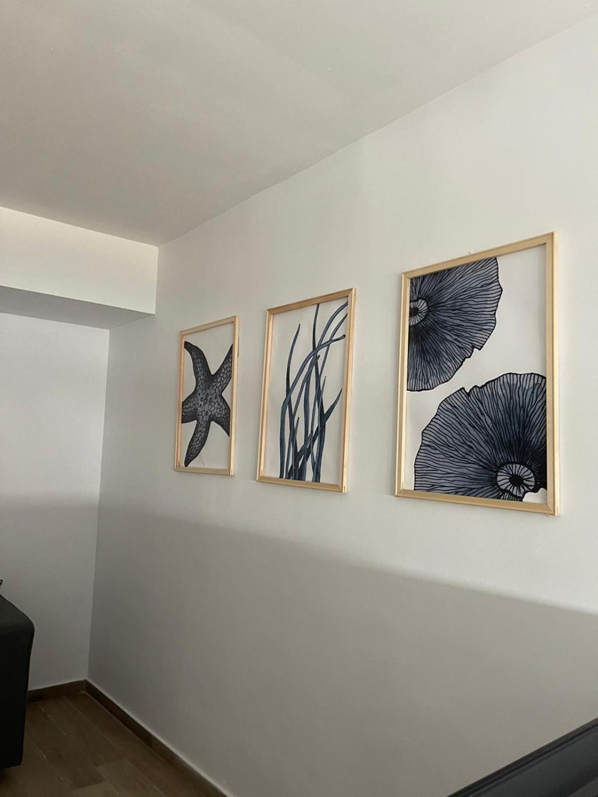 Apartamentos Matilda Conil De La Frontera Dış mekan fotoğraf